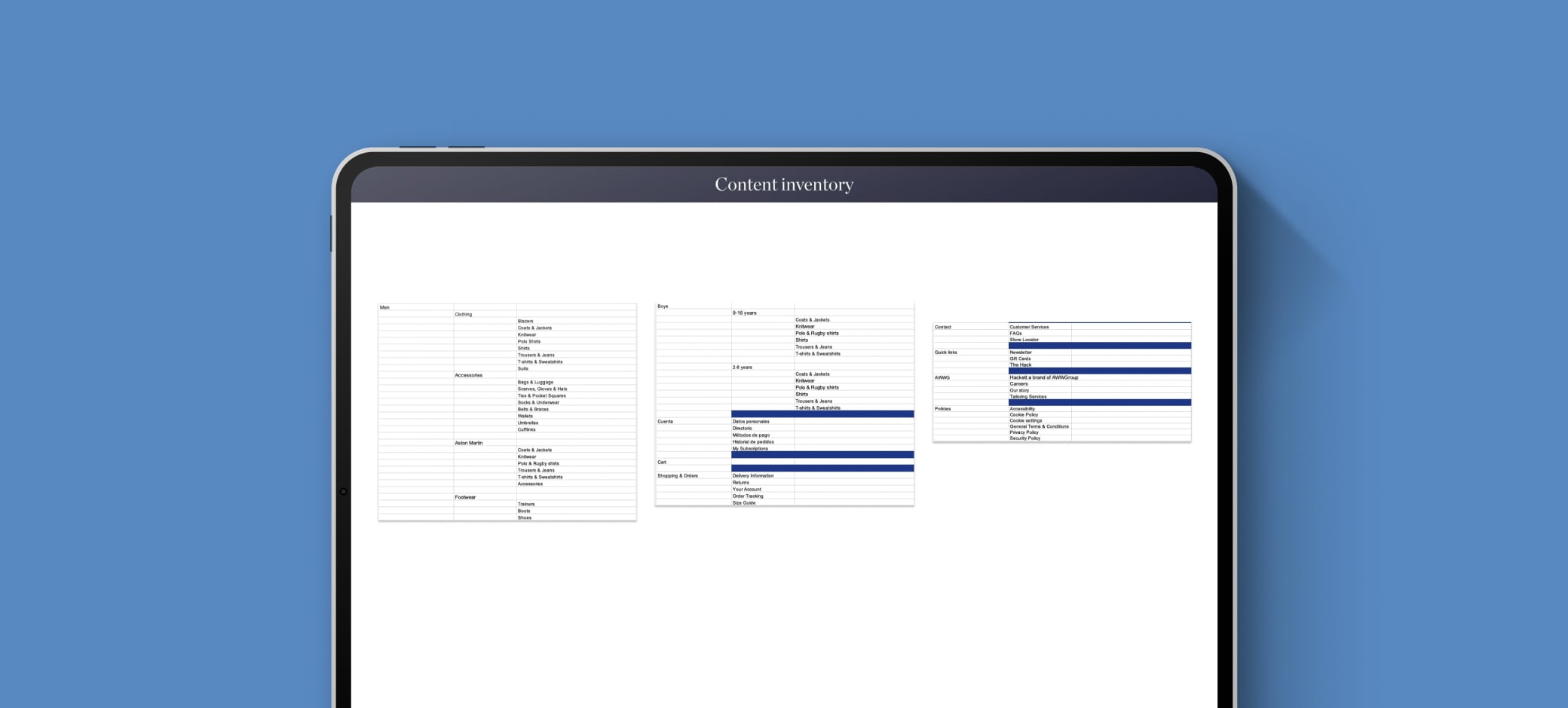 Hackett content inventory